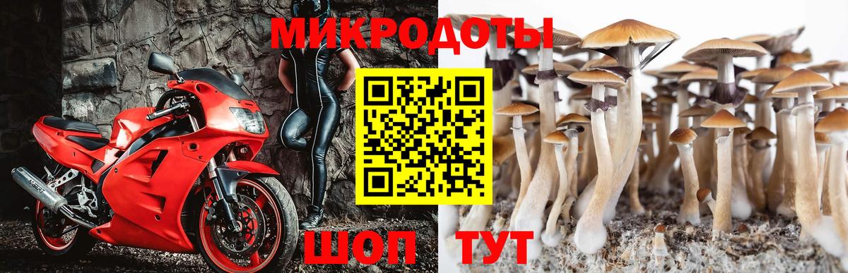 Павлово  Псилоцибиновые грибы мухоморы  Вход с VPN 